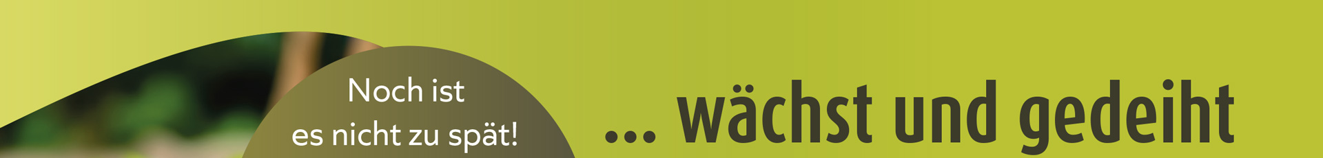 Bild Kopp Geschenke Dektop 01a