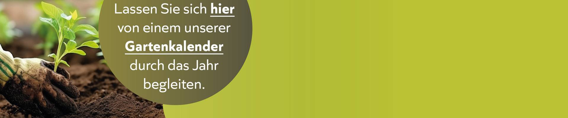 Bild Kopp Geschenke Dektop 01b