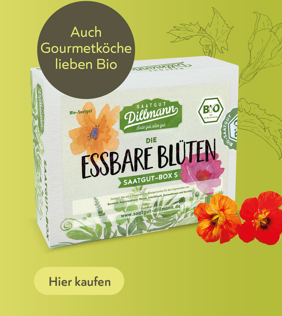 Bild Kopp Geschenke Dektop 01a