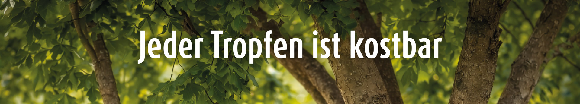 Bild Kopp Geschenke Dektop 01a