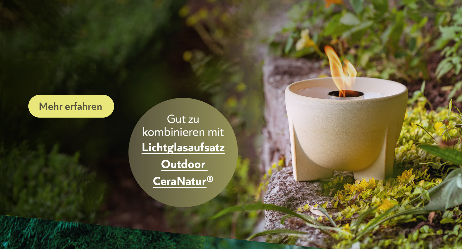 Bild Kopp Geschenke Dektop 01a