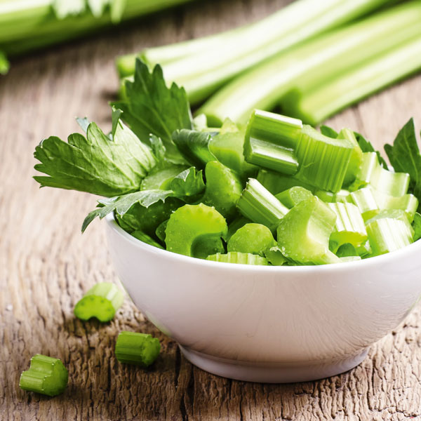 Bio-Selleriesaft Produkt Bild 1