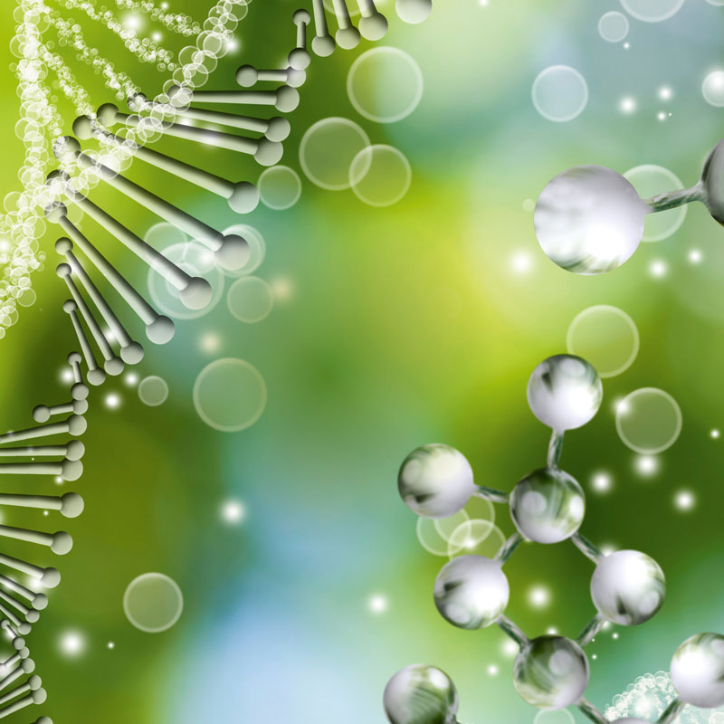 Bio-Selleriesaft Produkt Bild 11