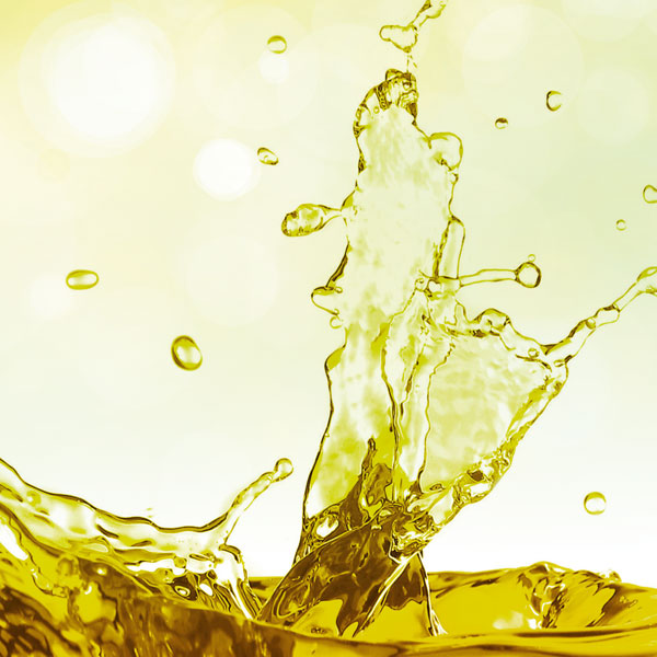 Bio-Selleriesaft Produkt Bild 5