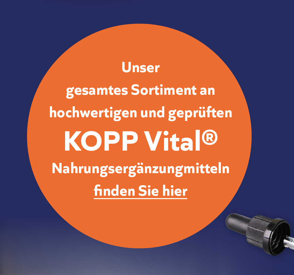 Bild Kopp Fit ins neue Jahr Desktop 09