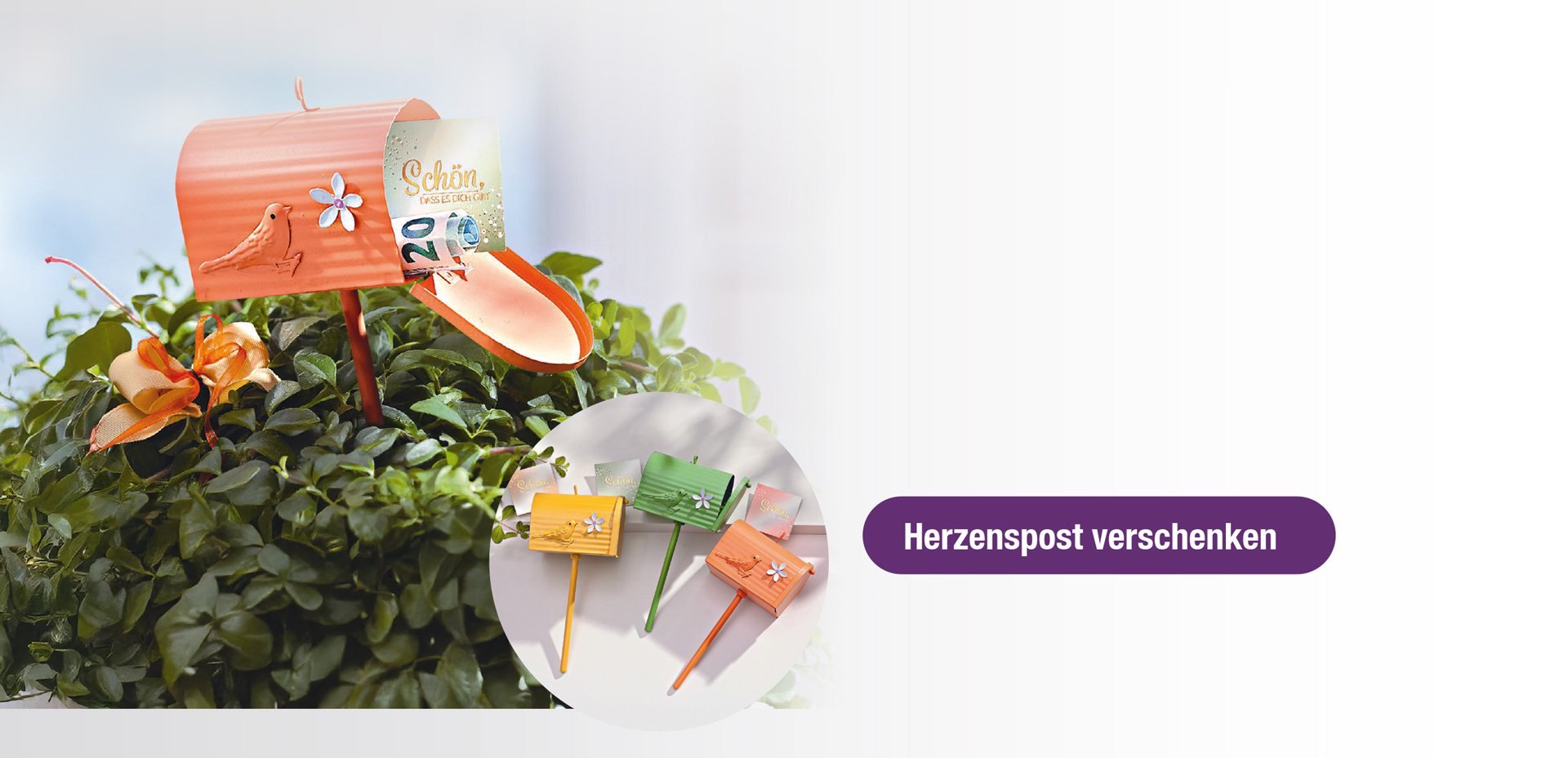 Bild Kopp Geschenke Dektop 19