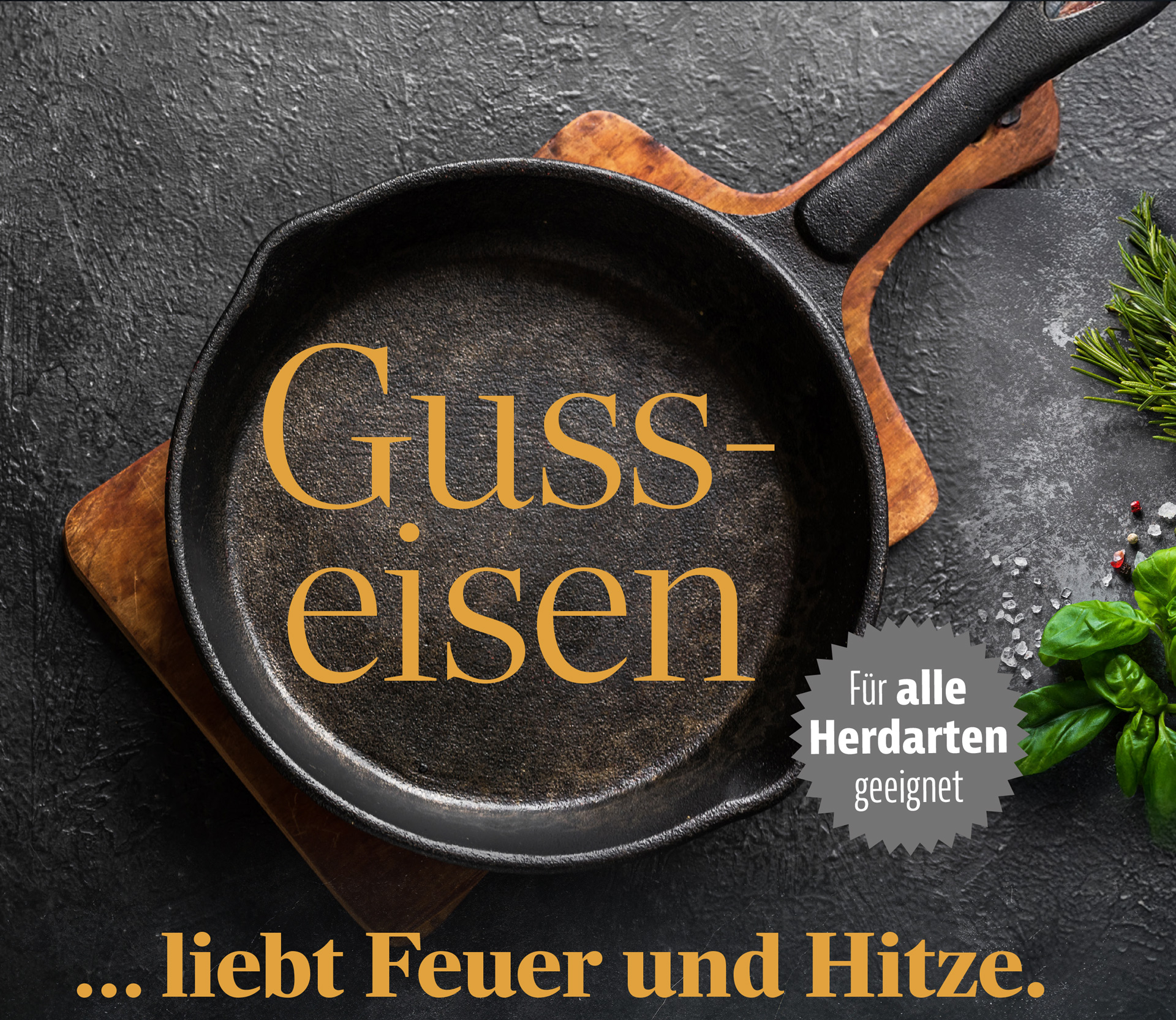 Bild Kopp Gusseisen Dektop 01