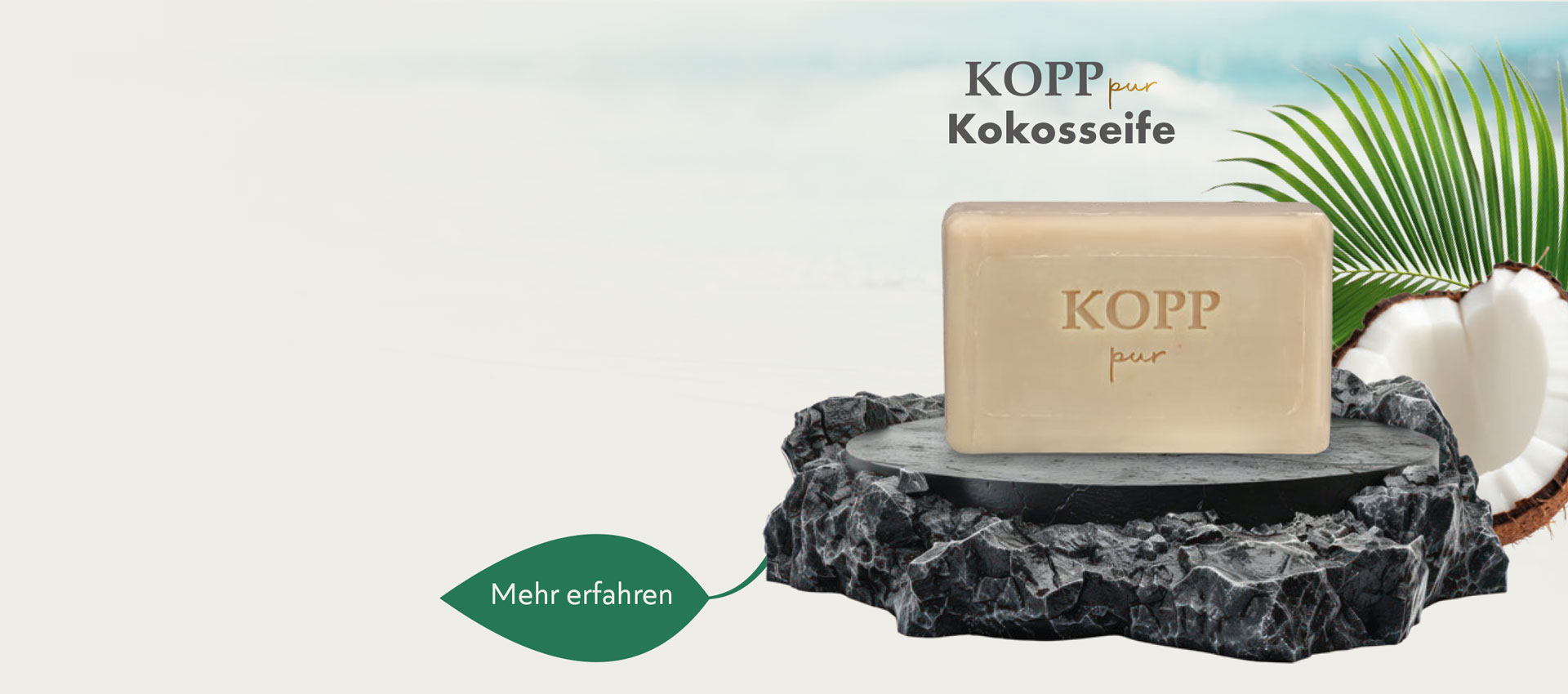 Bild Kopp pur Seife Dektop 02