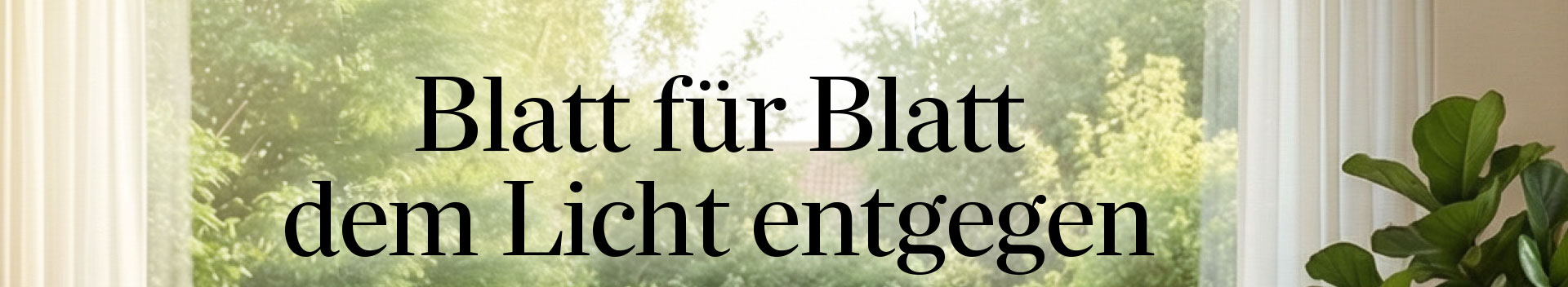 Bild Kopp Geschenke Dektop 02