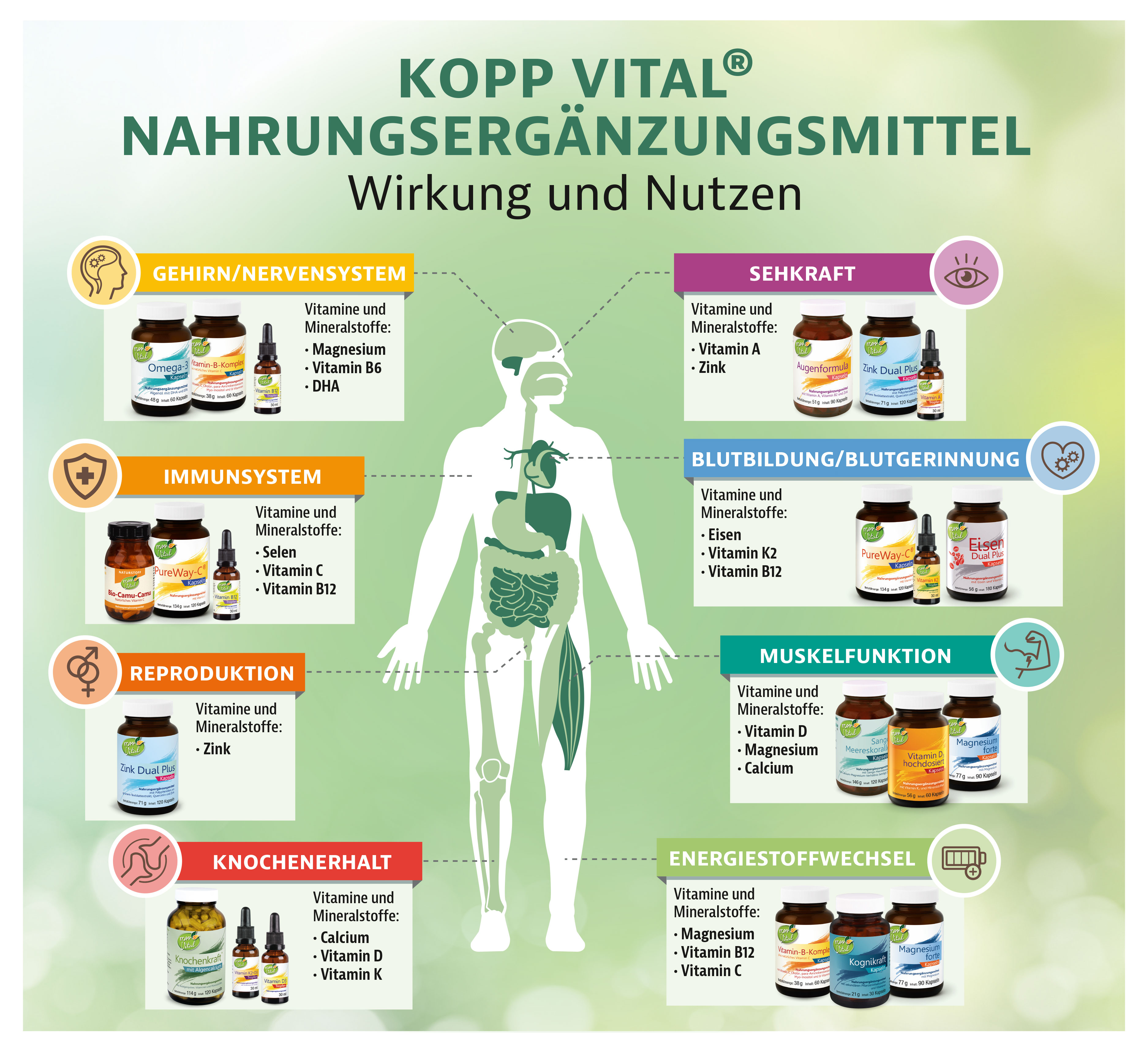 Bild Kopp Nutzen im �berblick