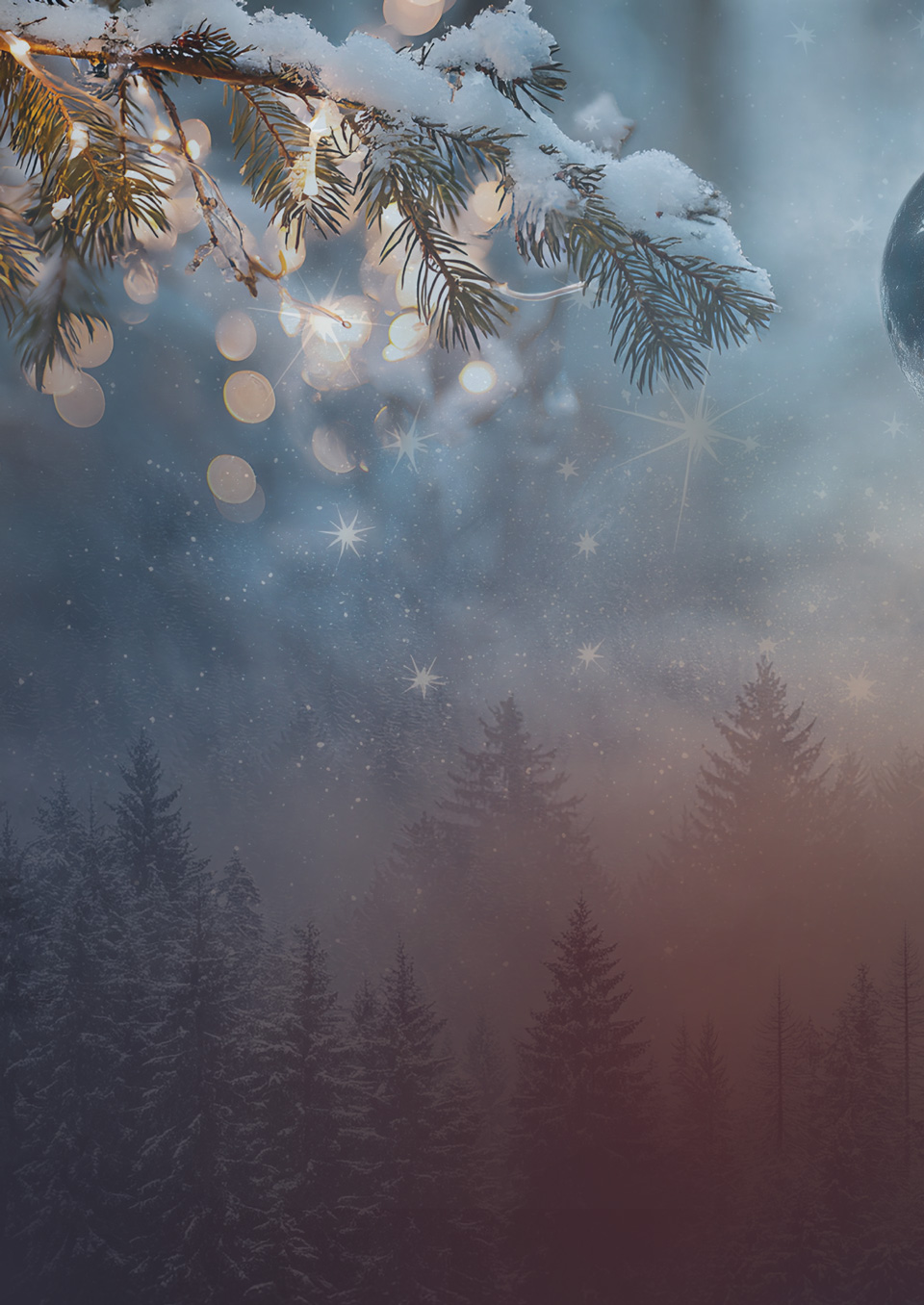 Bild Kopp pur Oele Mobile 01