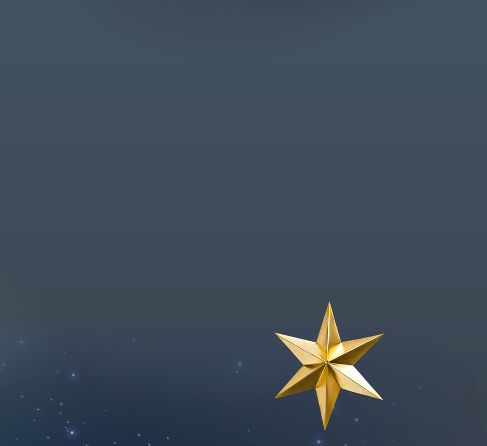 Bild Kopp pur Oele Mobile 02