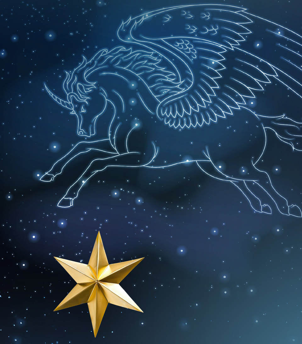 Bild Kopp pur Oele Mobile 01